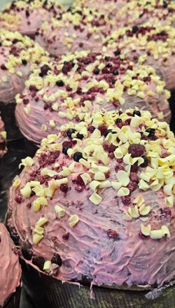 whatsapp image 2025-12-16 at 13